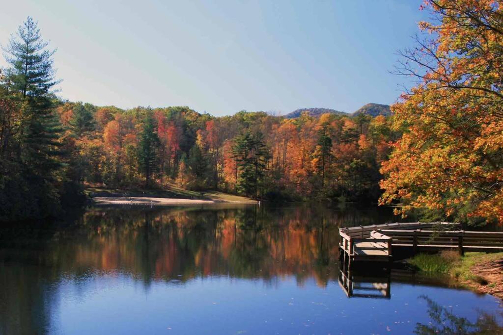 Bluebirds Nest 10 Min To Avl Biltmore Hot Tub Cont Bkfst Sparkling Water Asheville Esterno foto