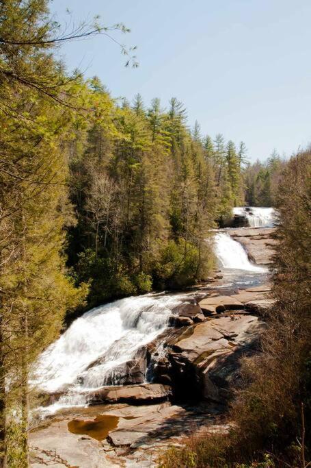 Bluebirds Nest 10 Min To Avl Biltmore Hot Tub Cont Bkfst Sparkling Water Asheville Esterno foto