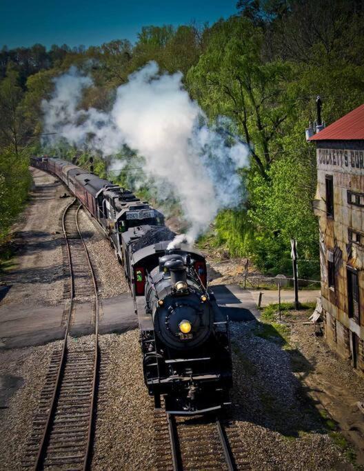 Bluebirds Nest 10 Min To Avl Biltmore Hot Tub Cont Bkfst Sparkling Water Asheville Esterno foto